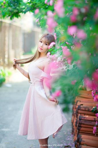 疯狂动物城电影免费观看完整版